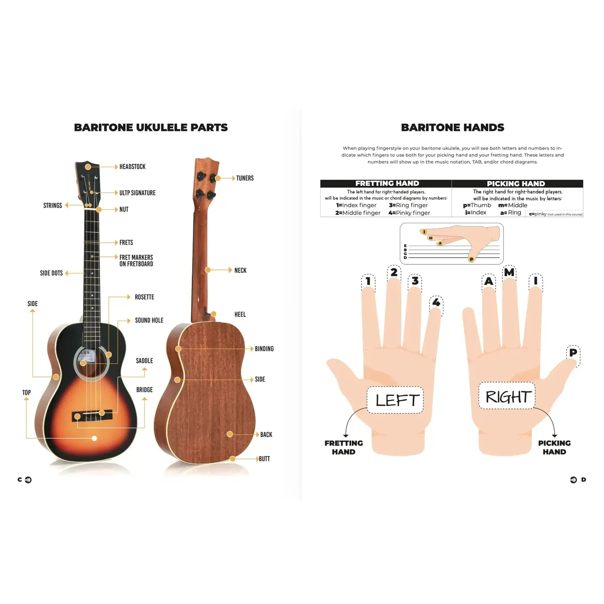 Baritone Ukulele Blues Mastery Book - Image 3