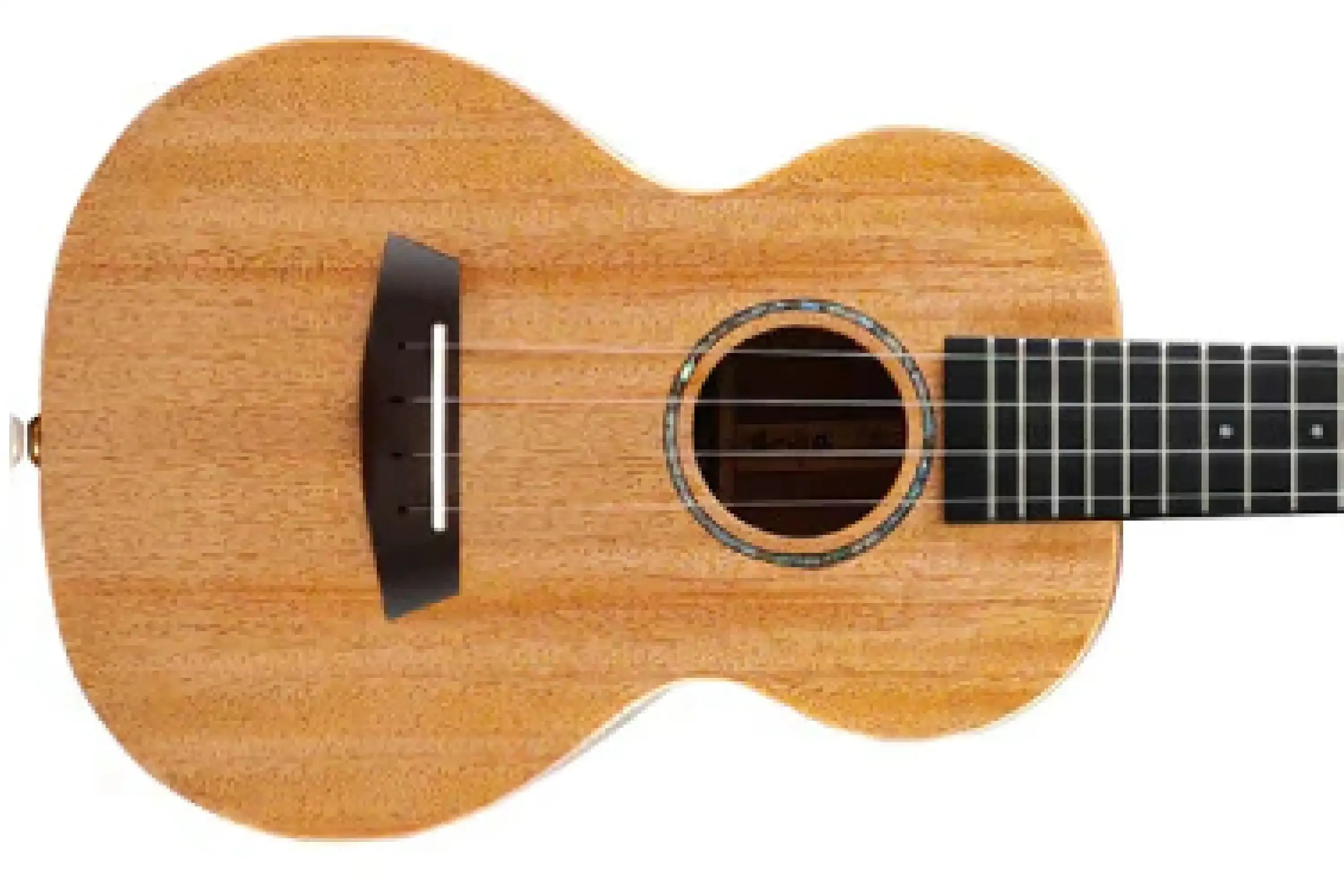 Enya EUC-MS/EQ Solid Mahogany Concert Ukulele w/ Pickup