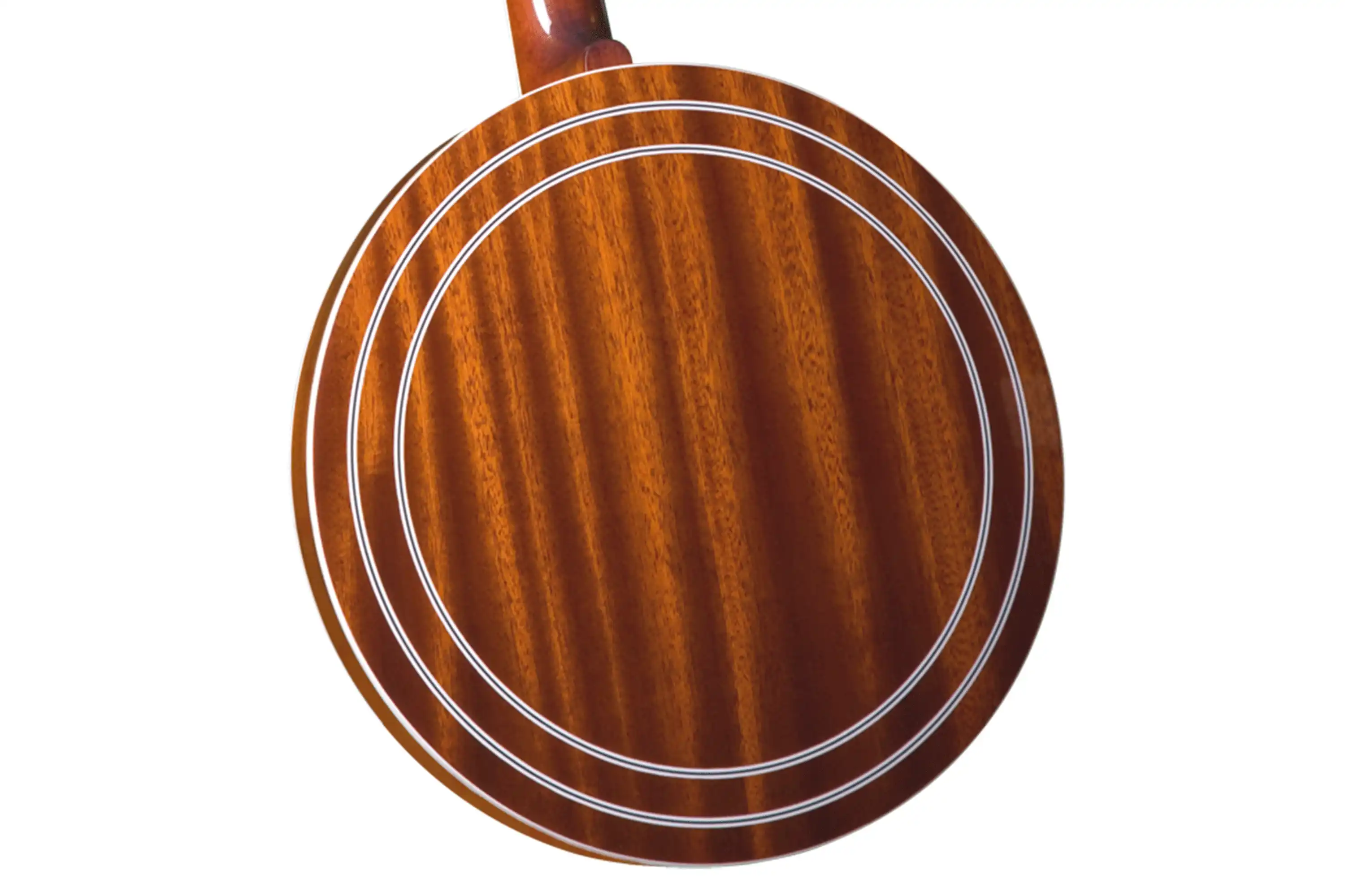 Gold Star GF-100FE Professional 5-String Resonator Banjo – Flying Eagle Inlay - Image 2