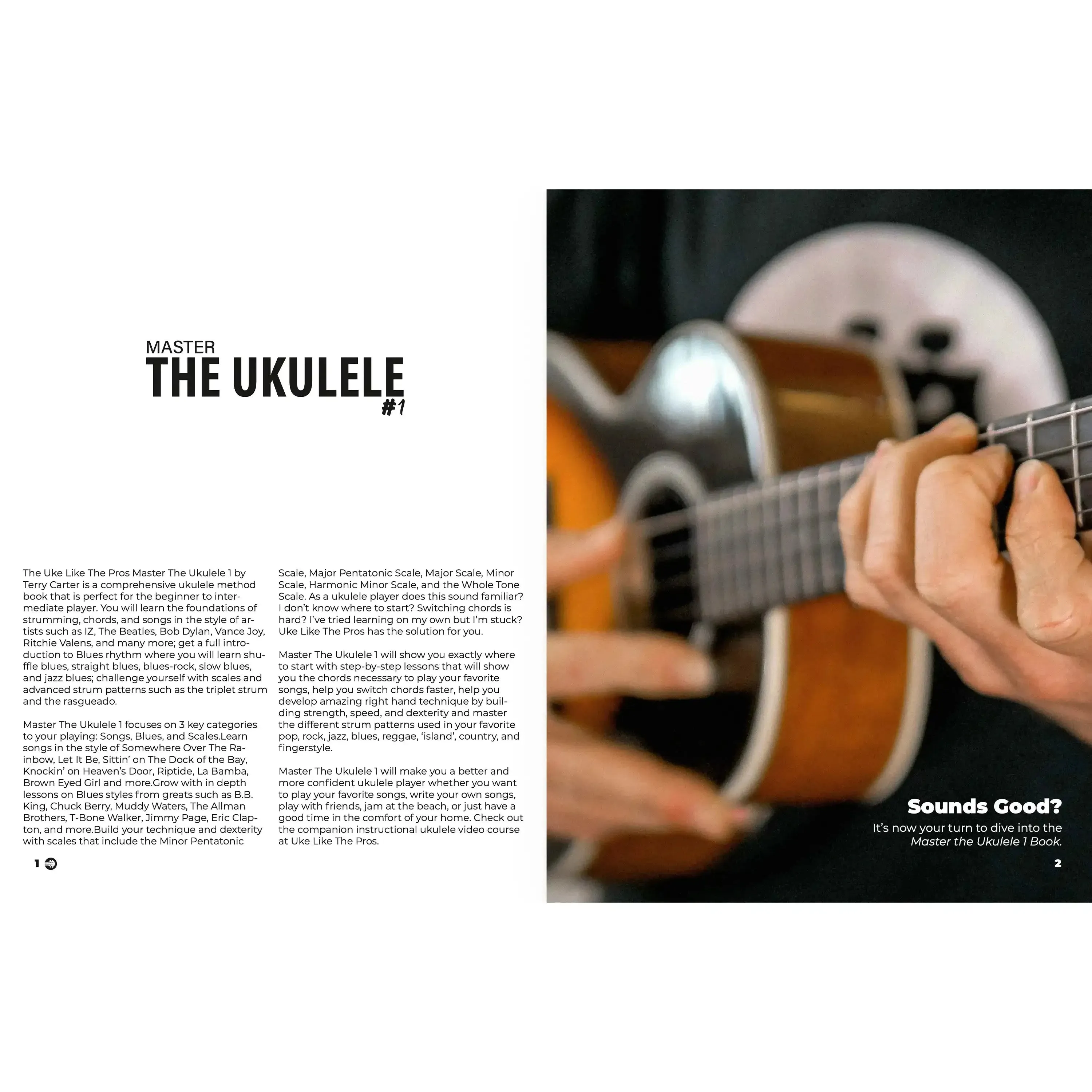 Master The Ukulele 1 Book by Terry Carter - Image 3