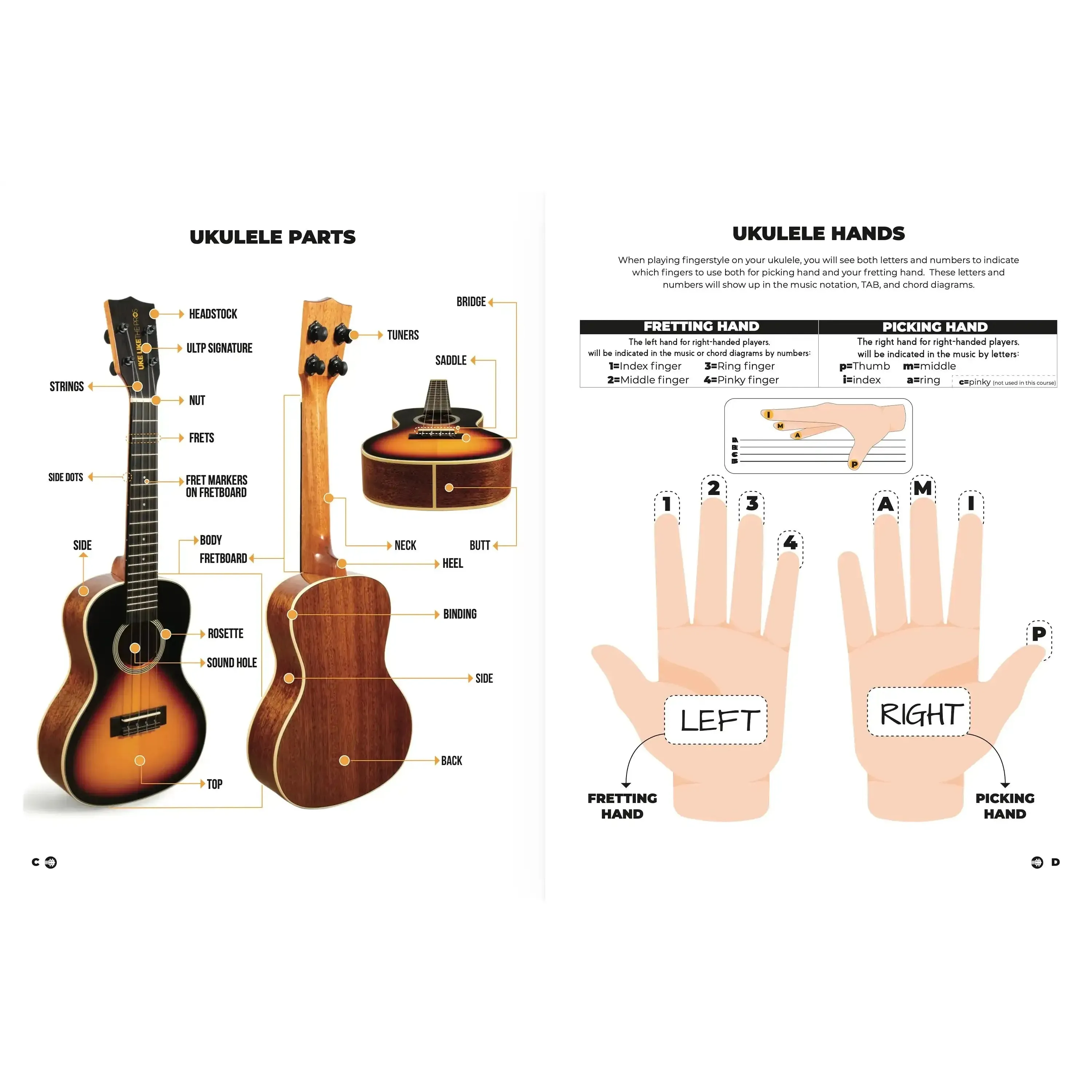 Master The Ukulele 1 Book by Terry Carter - Image 5