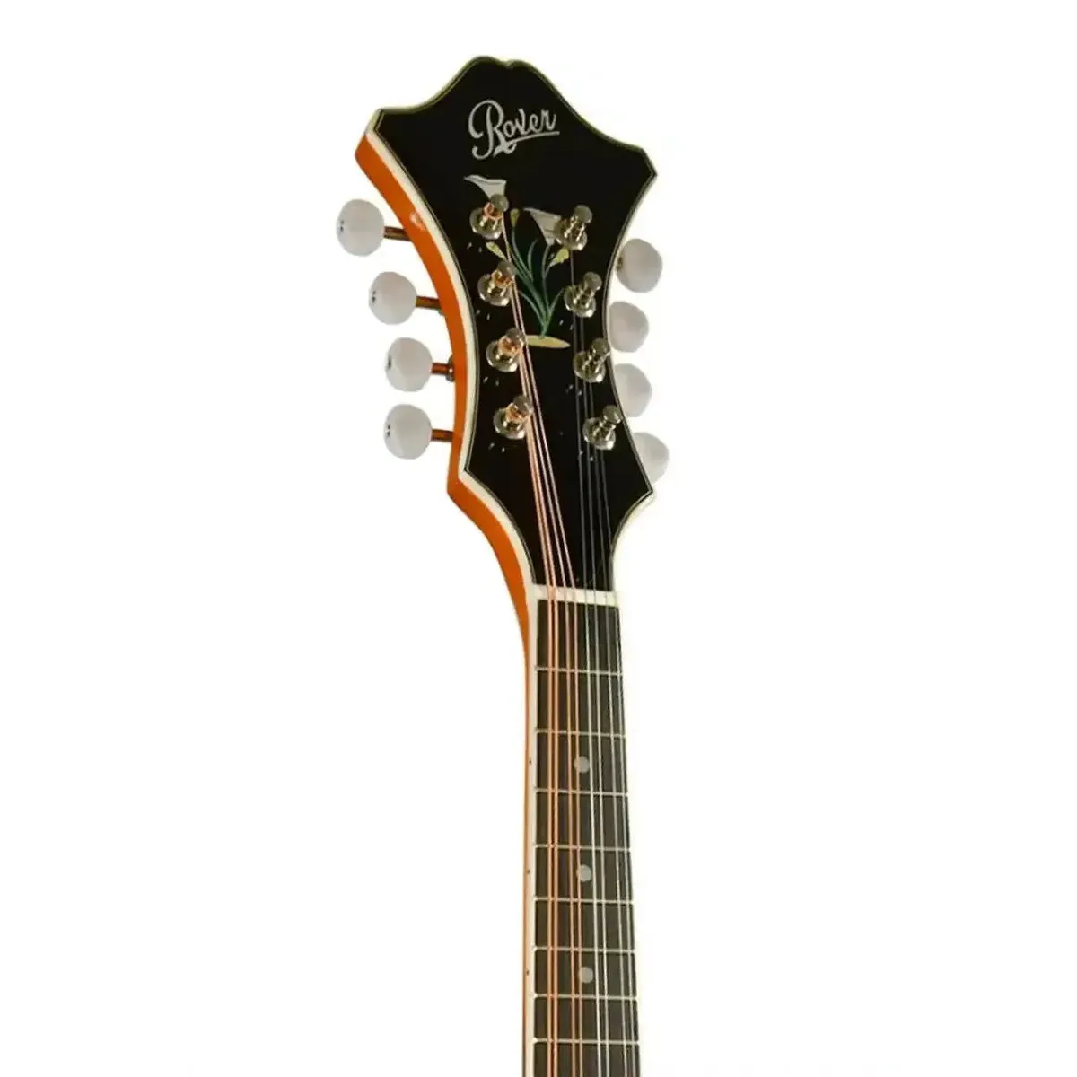 Rover RM-75 Deluxe Vintage Amber F-Model Mandolin - Image 5