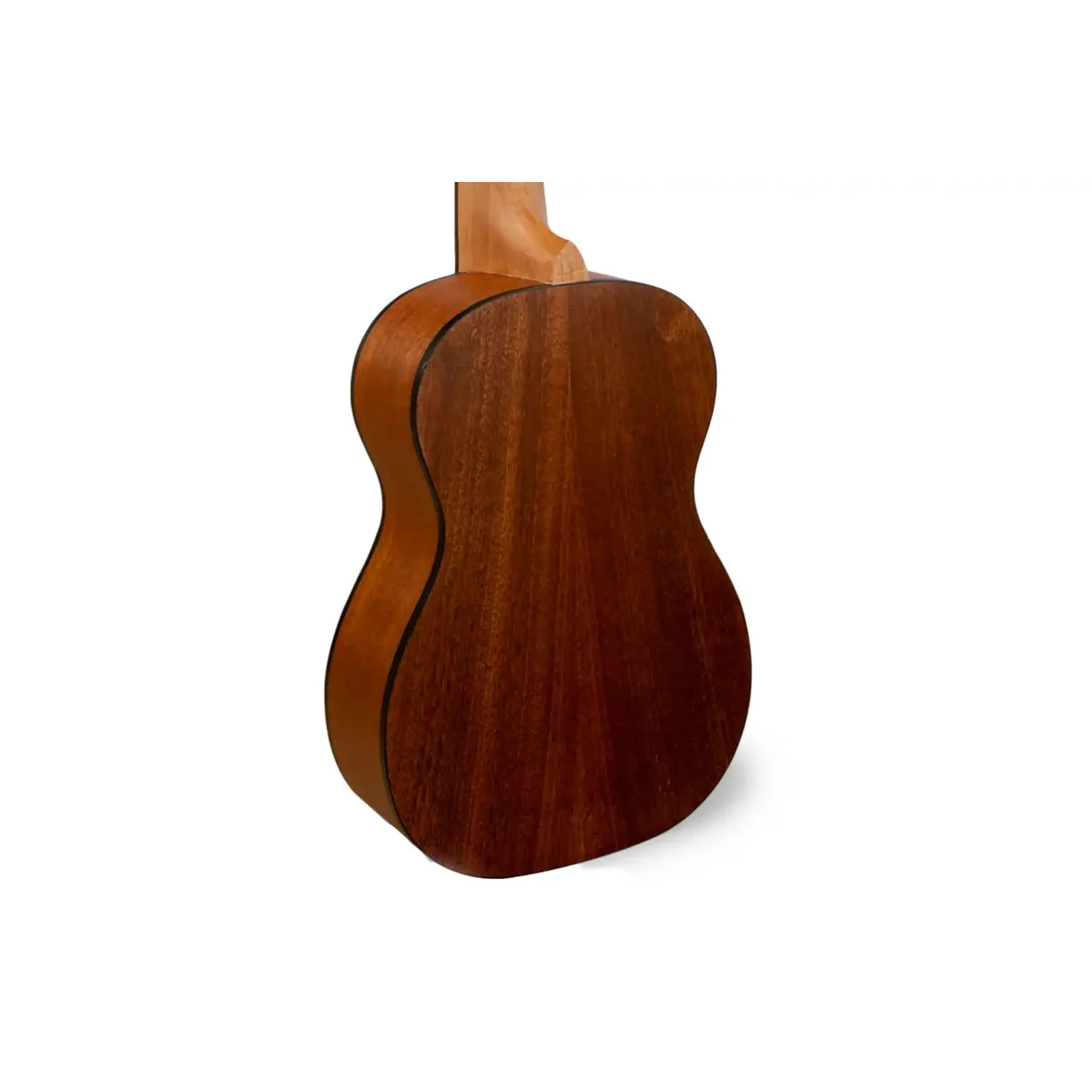 Stagg UC Tiki Maio Concert Ukulele "Lemonhead" - Image 2