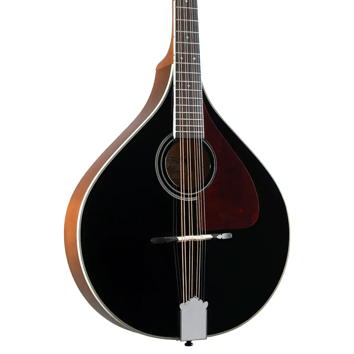 Trinity College TM-325B Standard Celtic Octave Mandolin – Black Top