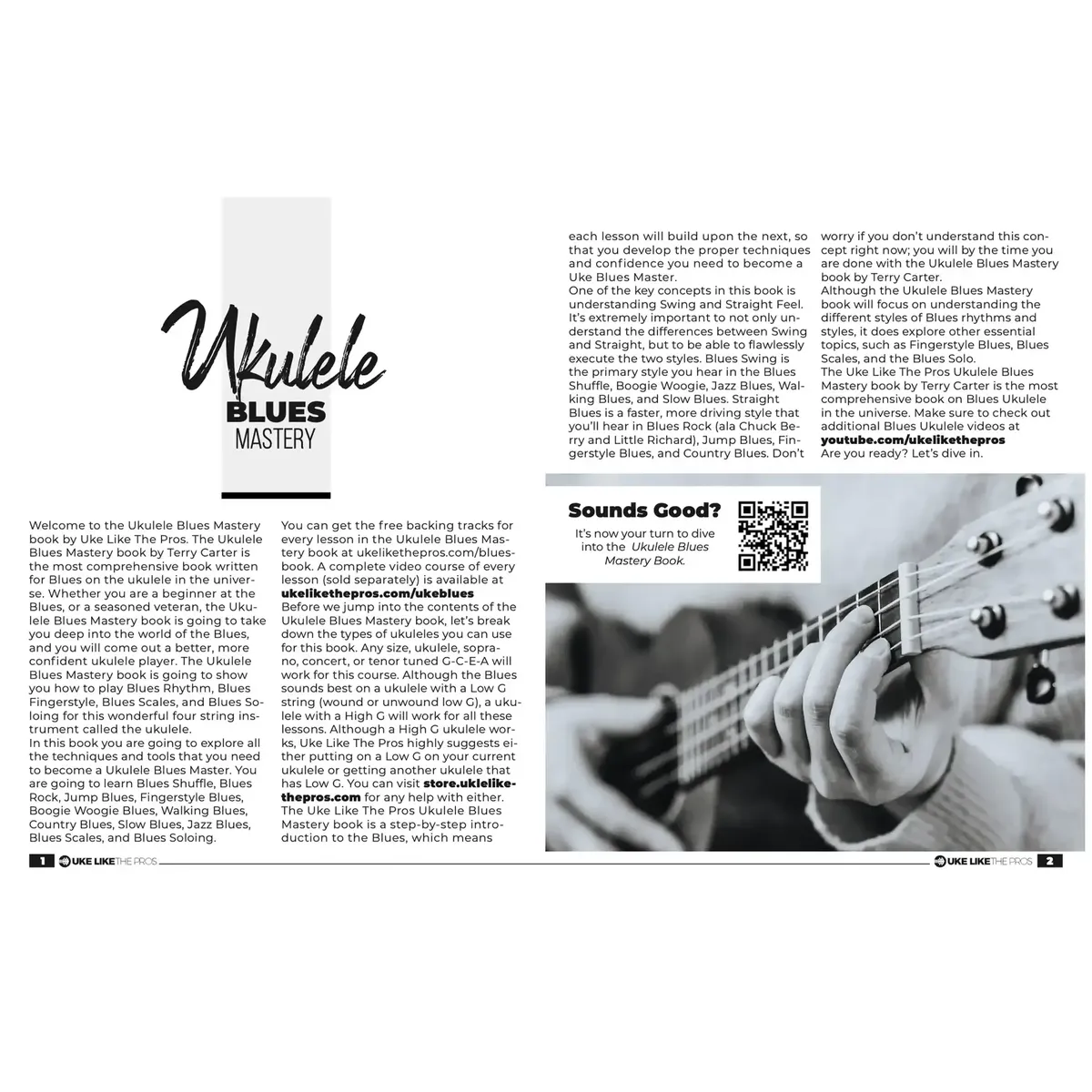 Ukulele Blues Mastery Book Terry Carter - Image 2