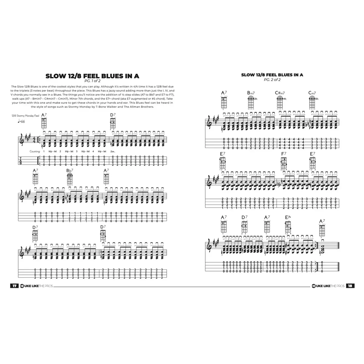 Ukulele Blues Mastery Book Terry Carter - Image 3