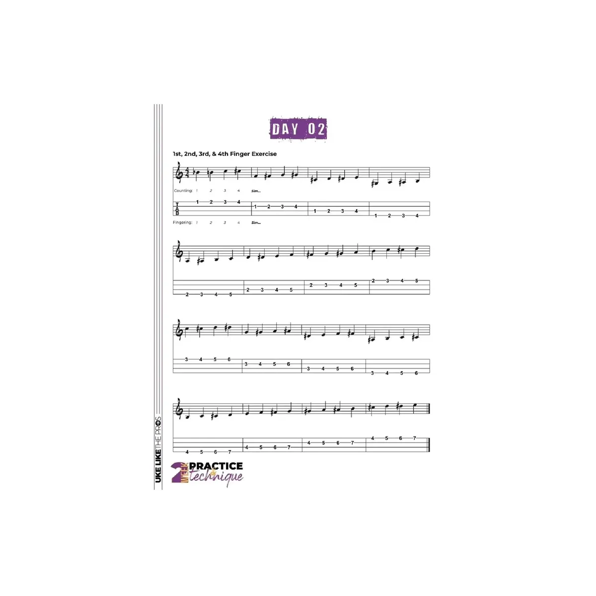 Ukulele Practice & Technique Bootcamp Course - Uke Like The Pros - Image 3