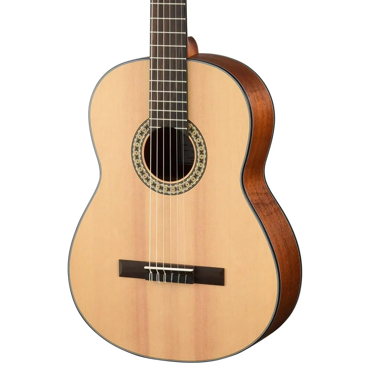 Walden Guitars N550E Natura Nylon Classical Acoustic Electric Guitar